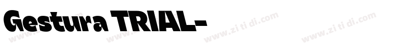 Gestura TRIAL字体转换